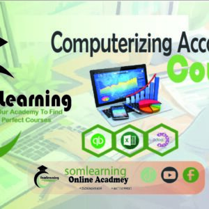 Diploma Computerizing Accounting
